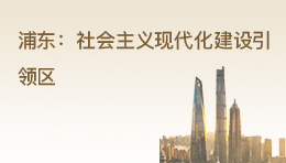 推進浦東新區(qū)高水平改革開放打造社會主義現(xiàn)代化建設引領區(qū)