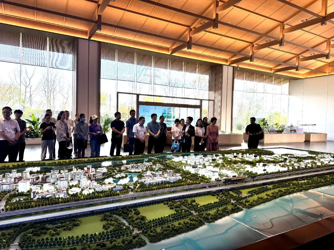 政府開放月活動：公眾走近示范區(qū)，感受青浦蓬勃發(fā)展 .jpg
